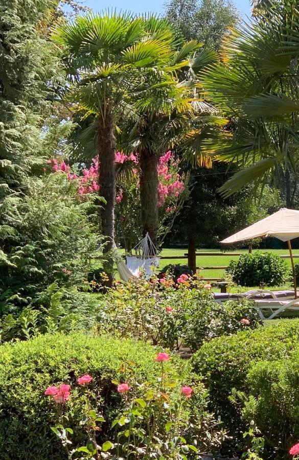 Bed & Breakfast ,Casa De Campo San Esteban,Linares Miraflores Екстер'єр фото