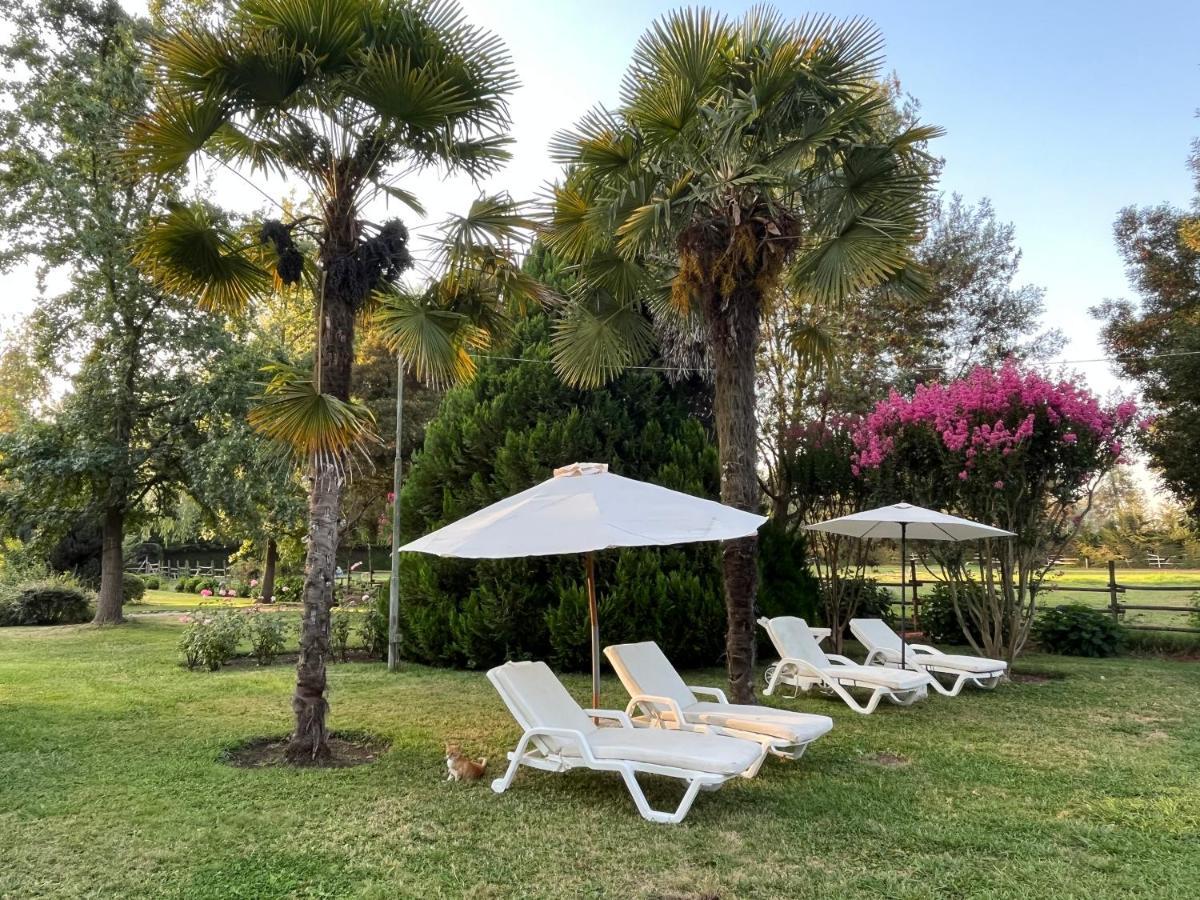 Bed & Breakfast ,Casa De Campo San Esteban,Linares Miraflores Екстер'єр фото